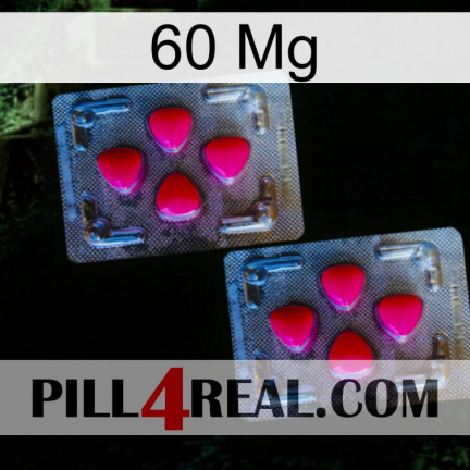 60 Mg 14
